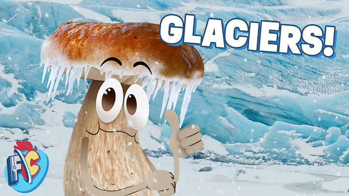 Why are Glaciers Important?