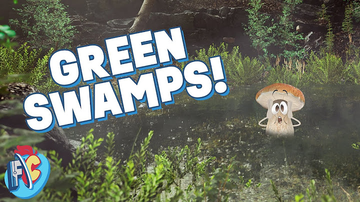 How Do Swamps Help the Planet?