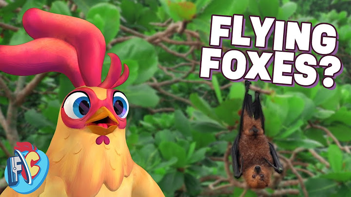Meet the World’s Biggest Bat: Flying Foxes!