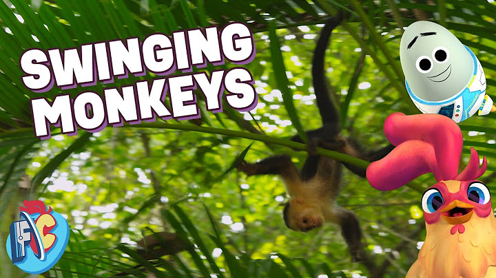 Monkeys Swinging in Tall Trees