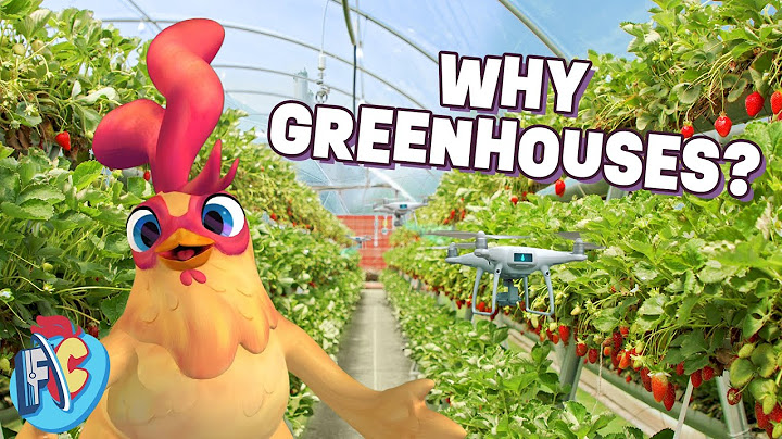 Why Are Greenhouses Important