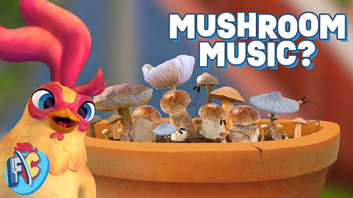 Using Mushrooms to Make Music