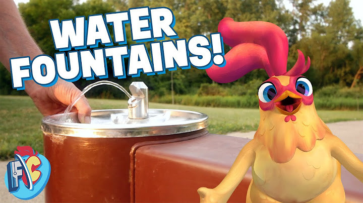Why Water Fountains are Good for the Environment
