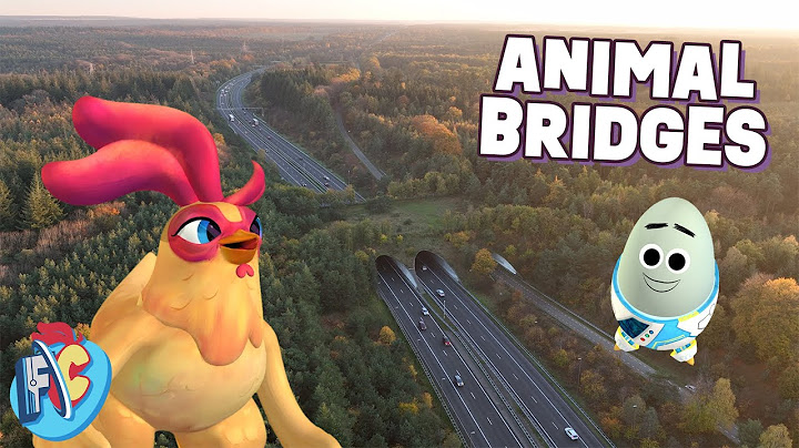 How do Animal Bridges Work?
