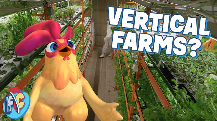 How Vertical Farming Works