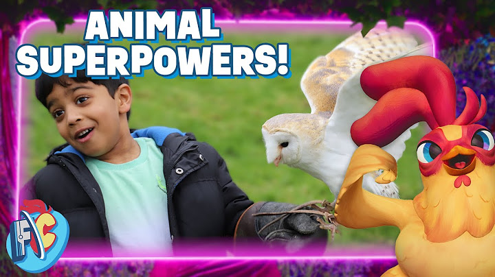 Each Animal Has a Superpower! Interview with Aneeshwar Kunchala