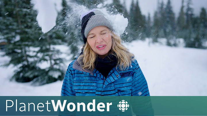 Planet Wonder - What can snow teach us about climate change video poster