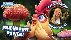 Friends of Future Chicken Playlist