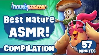 Best Nature ASMR Compilation Poster