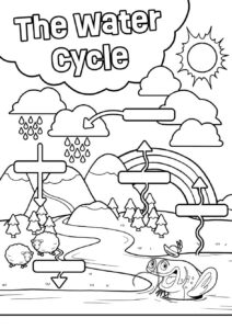 The Water Cycle Colouring page showing Persa the Electric Catfish and all the cycles of water