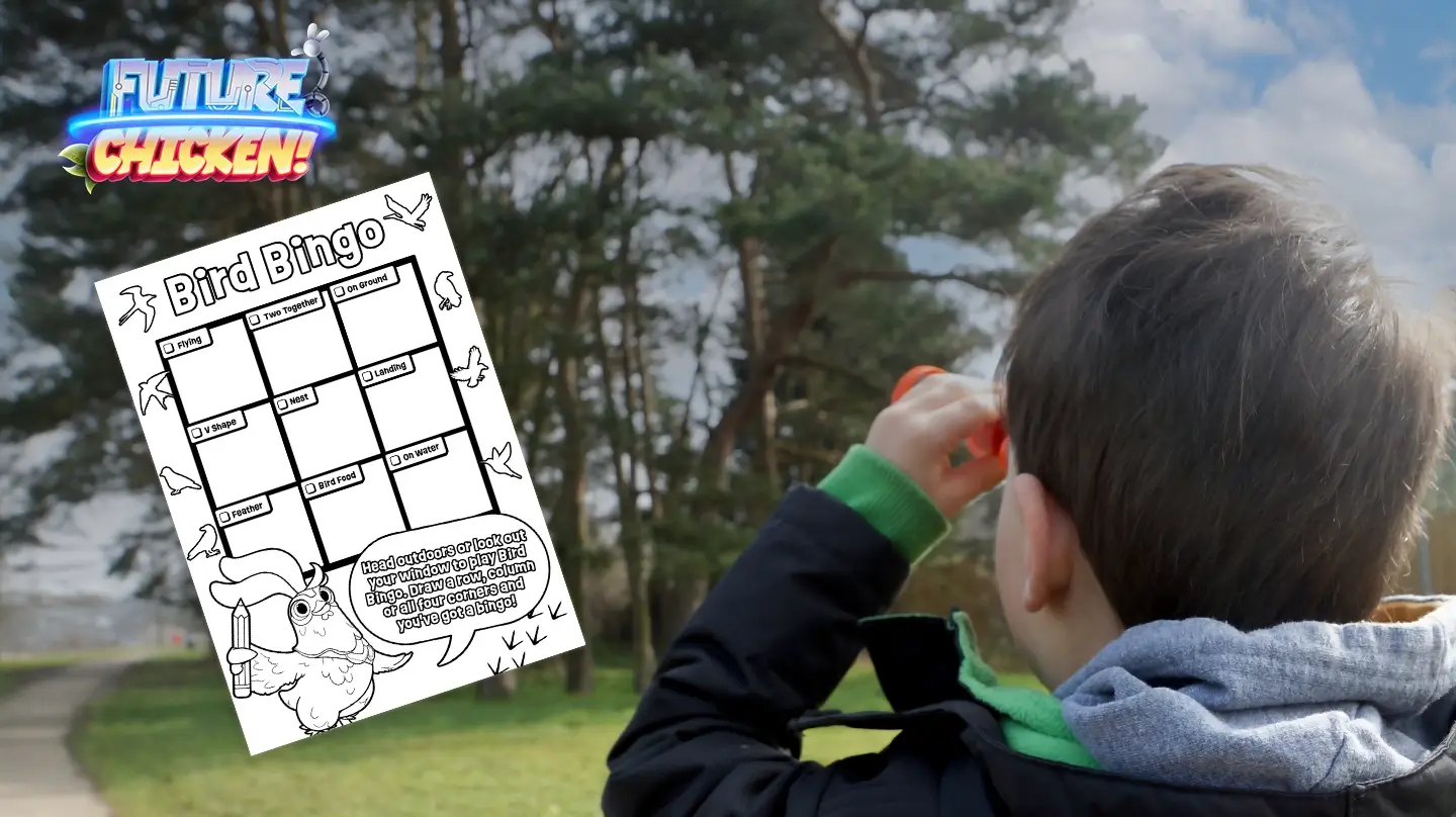 Bird Bingo – Bird Watching Activity and Colouring Page