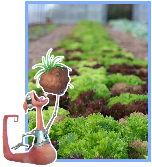 Food featuring Worm