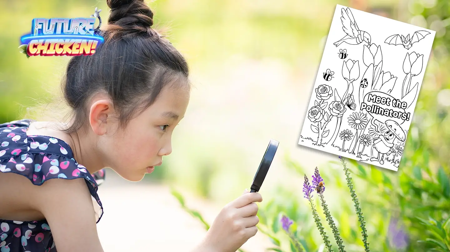 Colouring Page – Meet the Pollinators