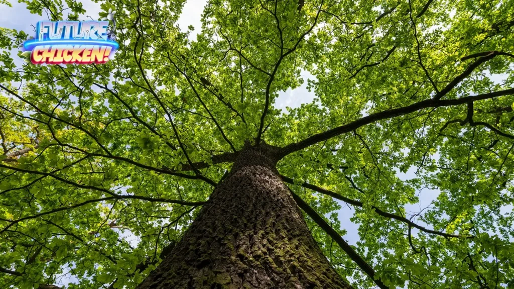 Trees, Please! A Fun Learning Activity for Kids