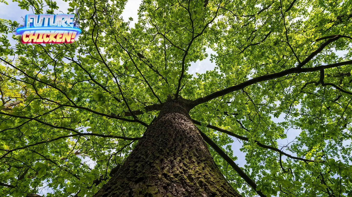 Trees, Please! A Fun Learning Activity for Kids